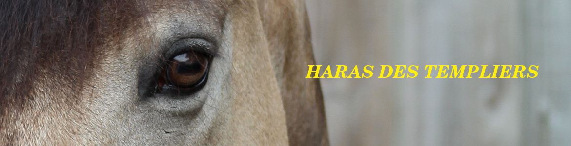 HARAS DES TEMPLIERS